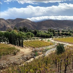 Meet your Posher, Elise